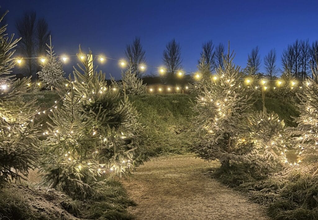 Hatton Country World Enchanted Christmas Kingdom